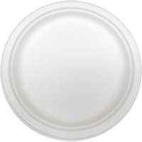 Molded Fiber Disposable Plates Par Equipment