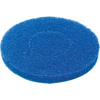 Floor Pad, Cleaning, Blue Par Equipment