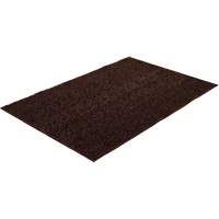 Astro-Turf Scraper Mat Par Equipment