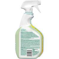 CloroxPro Clorox EcoClean Disinfecting Cleaner, 946 ml, Trigger Bottle Par Equipment