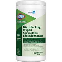 EcoClean Disinfecting Wipes, 75 Count Par Equipment