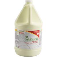 23 Floor Sealer, 4 L, Jug Par Equipment