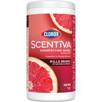 Disinfecting Wipes, 75 Count Par Equipment