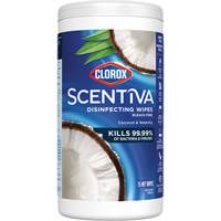 Disinfecting Wipes, 75 Count Par Equipment