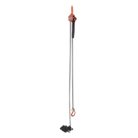 Mini Lever Hoist, 15' Lift, 1000 lbs. (0.5 tons) Capacity, Steel Chain Par Equipment