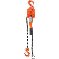 Lever Hoist, 10' Lift, 1500 lbs. (0.75 tons) Capacity, Alloy Steel Chain Par Equipment