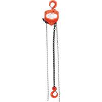 Chain Hoist, 10' Lift, 1000 lbs. (0.45 tons) Capacity, Alloy Steel Chain Par Equipment