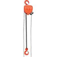 Chain Hoist, 10' Lift, 1000 lbs. (0.45 tons) Capacity, Alloy Steel Chain Par Equipment