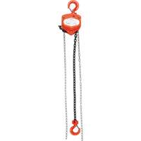 Chain Hoist, 20' Lift, 2000 lbs. (1 tons) Capacity, Alloy Steel Chain Par Equipment