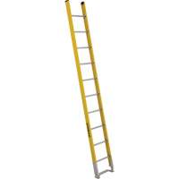 Single Section Straight Ladder - 6100 Series, 10', Fibreglass, 375 lbs., CSA Grade 1AA Par Equipment