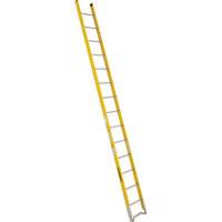 Single Section Straight Ladder - 6100 Series, 14', Fibreglass, 375 lbs., CSA Grade 1AA Par Equipment