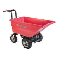 Motorized Tilt Truck, 6 pi³ Capacity, 40" H x 25" W x 56" D Par Equipment
