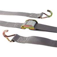 Ratchet Strap, Cam Buckle, 2" W x 16' L, 500 lbs. (227 kg) WLL Par Equipment