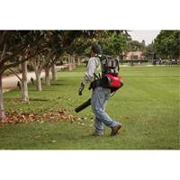 M18 FUEL Dual Battery Backpack Blower Kit, 18 V, 155 MPH Output, Battery Powered Par Equipment