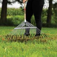 Lawn Rake, 24 Tines, Hardwood Handle, Steel Blade Par Equipment