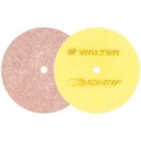 Quick-Step Instant Polish Discs, 5" Dia. Par Equipment