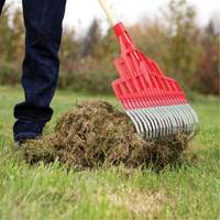 Multi-Purpose Lawn Rake, 20" Blade, 20 Tines, Hardwood Handle, Steel Blade Par Equipment