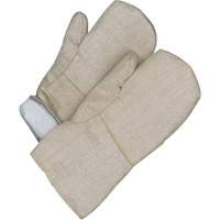Gander Brand Mitt, Fibreglass, One Size, Protects Up To 608° F (320° C ) Par Equipment