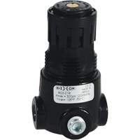 Wilkerson Miniature Regulator R03, 1/8" NPT, 300 psi Max. PSI, Standard Par Equipment