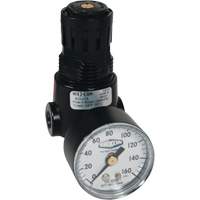 Wilkerson Miniature Regulator R04, 1/4" NPT, 300 psi Max. PSI, Standard Par Equipment