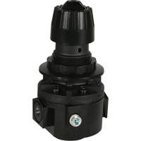 Wilkerson Regulator R26, 3/8" NPT, 300 psi Max. PSI, Standard Par Equipment
