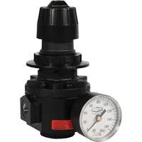 Wilkerson Regulator R26, 1/2" NPT, 300 psi Max. PSI, Standard Par Equipment