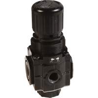 Series 1 Manifold Regulator, 1/4" NPT, 150 PSI Max. PSI, Standard Par Equipment