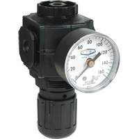 Series 1 Compact Regulator, 1/2" NPT, 150 PSI Max. PSI, Standard Par Equipment