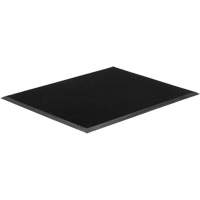 Tapis Gritstop Fingermat, Caoutchouc, Grattoir Type, Motif Textur&eacute;, 2' x 2-2/3', Noir Par Equipment