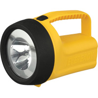 Lanterne flottante Readyflex de EverReady, DEL, 80 Lumens, Piles D Par Equipment