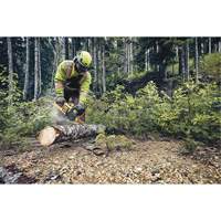 Flexvolt&reg; Cordless Chainsaw, 16", Battery Powered, 60 V Par Equipment