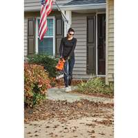 3-in-1 VacPack Leaf Blower/Vacuum/Mulcher, 250 MPH Output, Electric Par Equipment