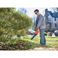 Leaf Blower, 180 MPH Output, Electric Par Equipment