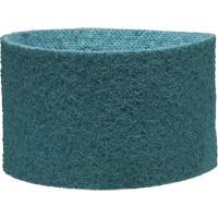 Scotch-Brite Surface Conditioning Belt Par Equipment