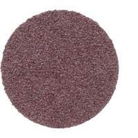 Disque PSA en toile 348D, 20" dia., Grain 50, Oxyde d'aluminium Par Equipment