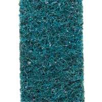 Scotch-Brite Surface Conditioning Belt Par Equipment