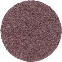 Meule en toile PSA 348D, 20" dia., Grain 60, Oxyde d'aluminium Par Equipment