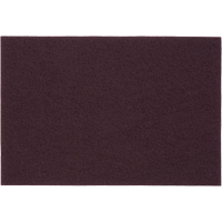 Tampons manuels Bear-Tex, Oxyde d'aluminium, 6" x 9", Grain Tr&egrave;s fin Par Equipment