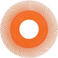 Brosse radiale en soies de pr&eacute;cision type C PN-RB sans adaptateur Scotch-Brite , C&eacute;ramique, Grain 80+, 6" dia. Par Equipment