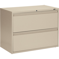Lateral Cabinet, Steel, 2 Drawers, 36" W x 19-1/4" D x 27-31/100" H, Beige OP326 | Par Equipment
