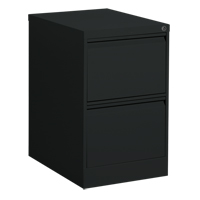 Vertical Filing Cabinet, Steel, 2 Drawers, 18-1/7" W x 25" D x 29" H, Black OP913 | Par Equipment