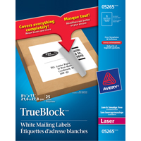 TrueBlock™ Laser Shipping Labels, 11" W x 8.5" L, White OT813 | Par Equipment