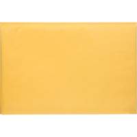 Enveloppes postales coussinées, Kraft, 12-1/2" la x 19" lo PG246 | Par Equipment