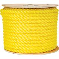 5/8" Braided Yellow Rope, Polypropylene, 200' Par Equipment