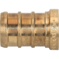Lead-Free Pipe Plug, Pipe, 1/2" Dia., Brass Par Equipment
