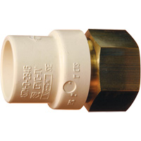 Threaded Pipe Adapter, Hub x FPT, 1" Dia., Brass/CPVC Par Equipment