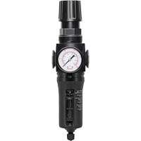 Filtre/r&eacute;gulateur drain manuel avec bol en m&eacute;tal Modulair 300, 1/4" NPT, 250 PSI, Capacit&eacute; de 5,1 oz liq. Par Equipment