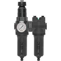 Filtre/r&eacute;gulateur + filtre coalescent drain manuel avec bol en m&eacute;tal Modulair 400, 1/4" NPT, 200 psi, Capacit&eacute; de 9,1 oz liq. Par Equipment