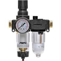 Filter/Regulator & Lubricator with Gauge Modulair 200, 1/4" NPTF Par Equipment