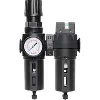 Filtre/d&eacute;tendeur & filtre coalescent Modulair 300 avec bol standard & drain manuel, 3/8" NPTF, 150 psi, Capacit&eacute; de 5,12 oz liq Par Equipment